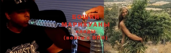 ECSTASY Ельня