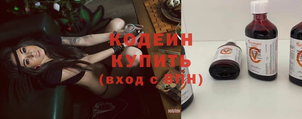 ECSTASY Ельня