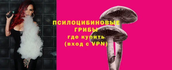 mdpv Елабуга