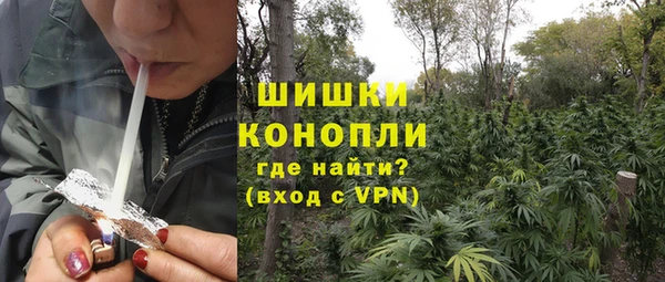 mdpv Елабуга