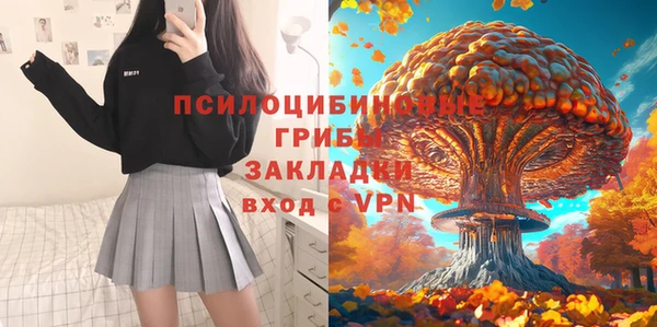 mdpv Елабуга