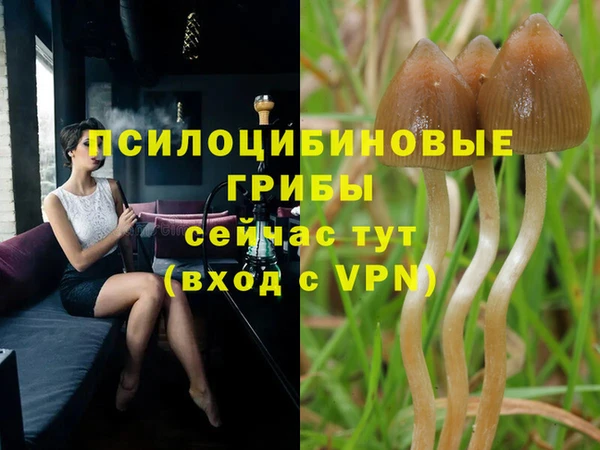 ешки Елизово