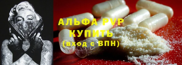 ECSTASY Ельня