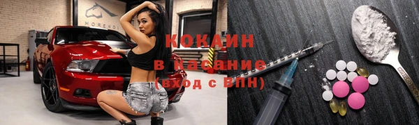 ECSTASY Ельня